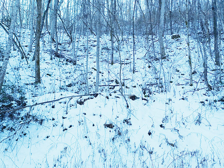 1-13 Snow.jpg